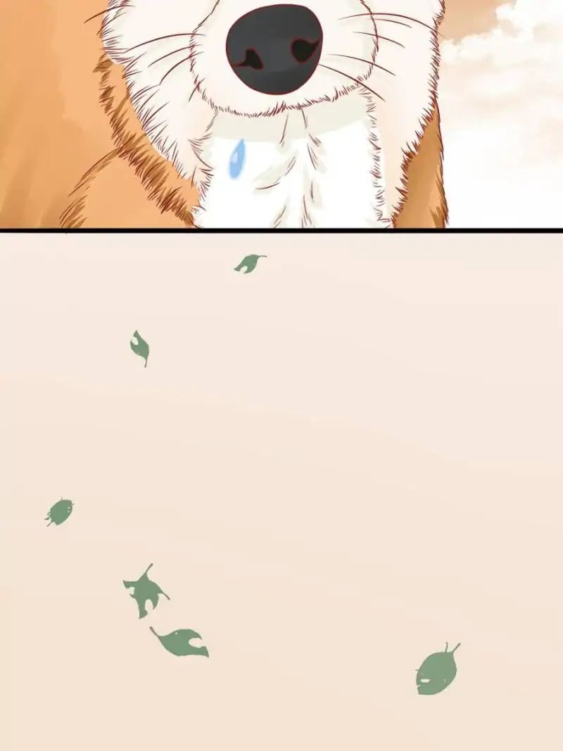 Page 4 of Chapter 55
