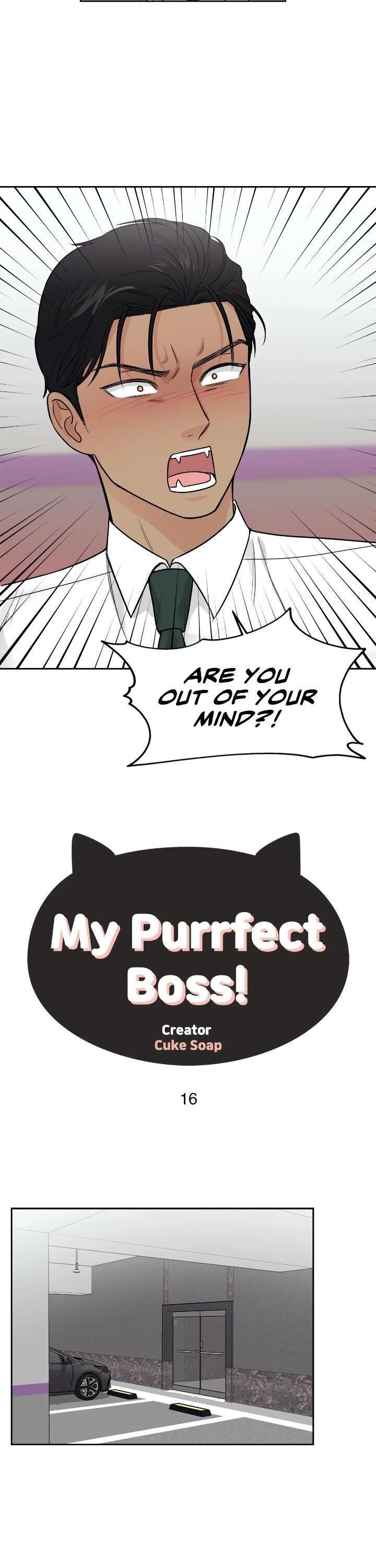 Page 3 of Chapter 16