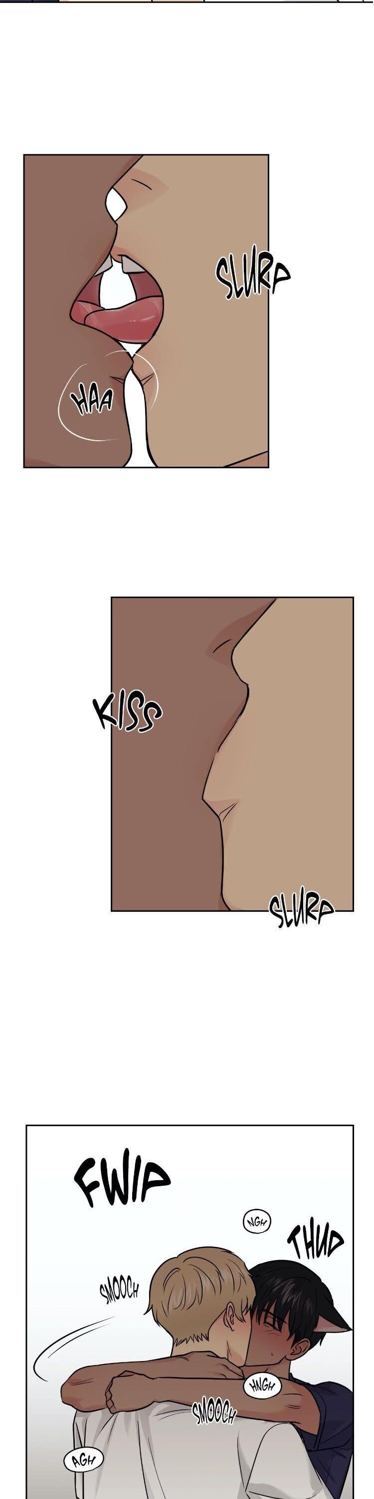 Page 14 of Chapter 17