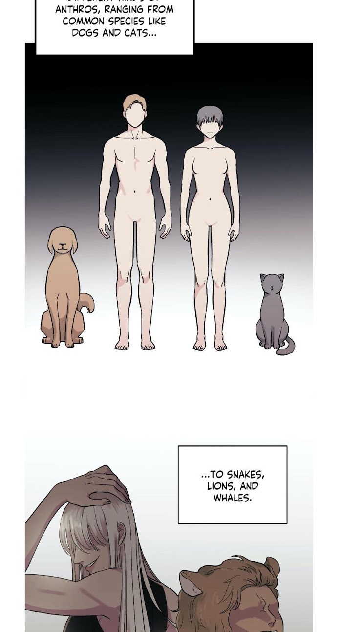 Page 3 of Chapter 2