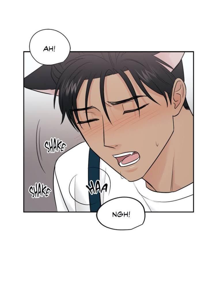Page 47 of Chapter 26
