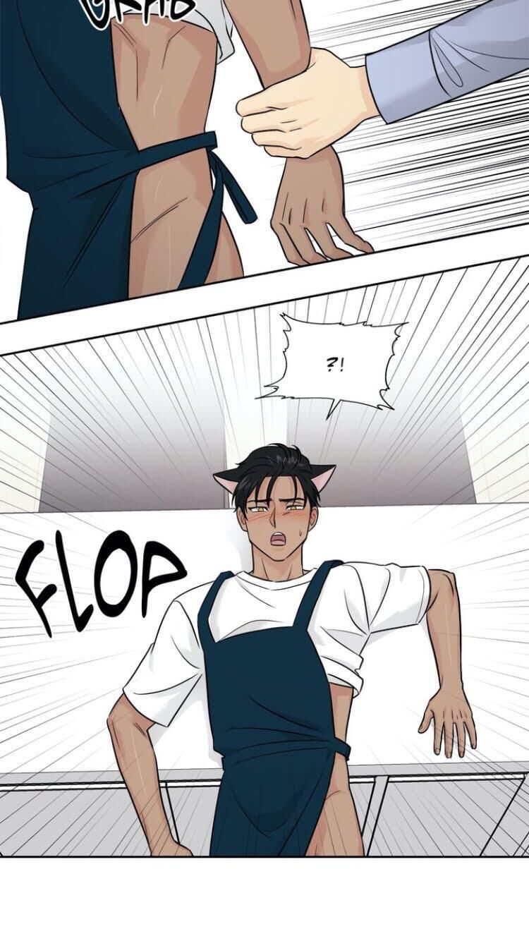 Page 55 of Chapter 26