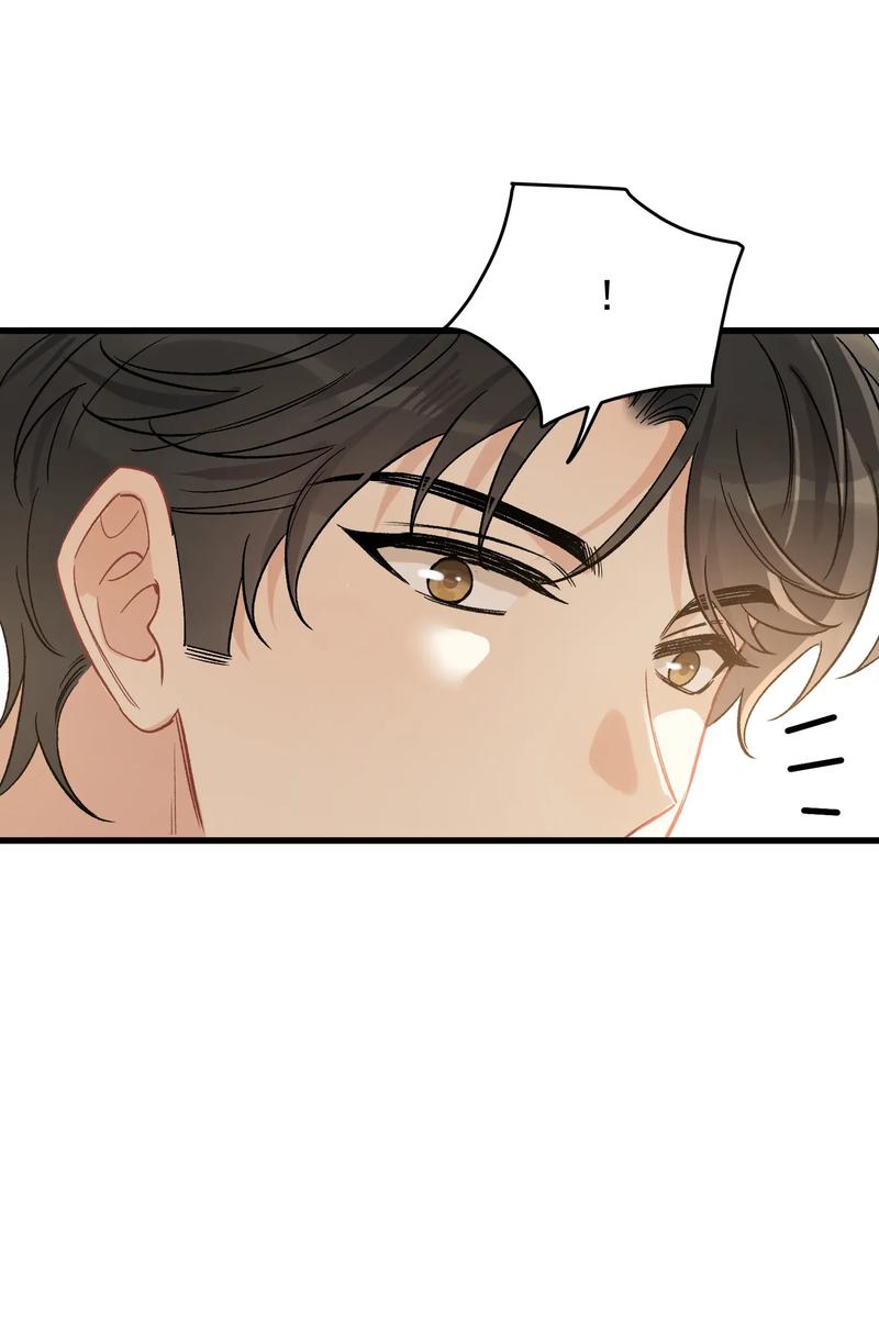 Page 41 of Chapter 119