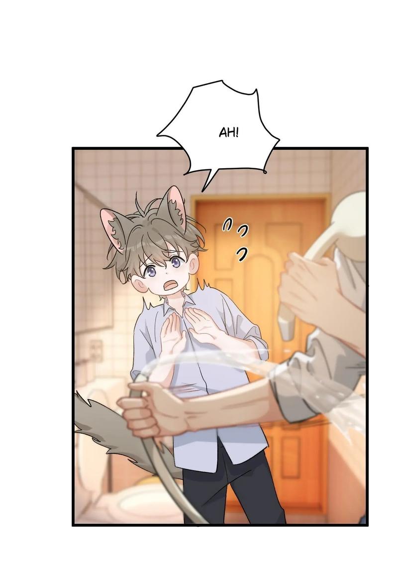 Page 14 of Chapter 121