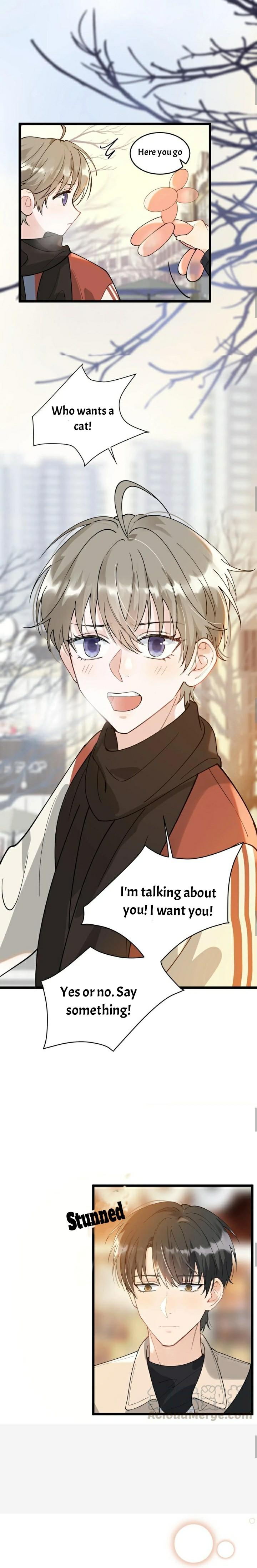 Page 4 of Chapter 29