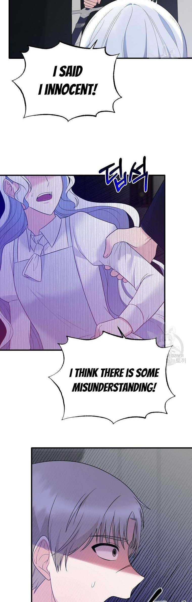 Page 17 of Chapter 96
