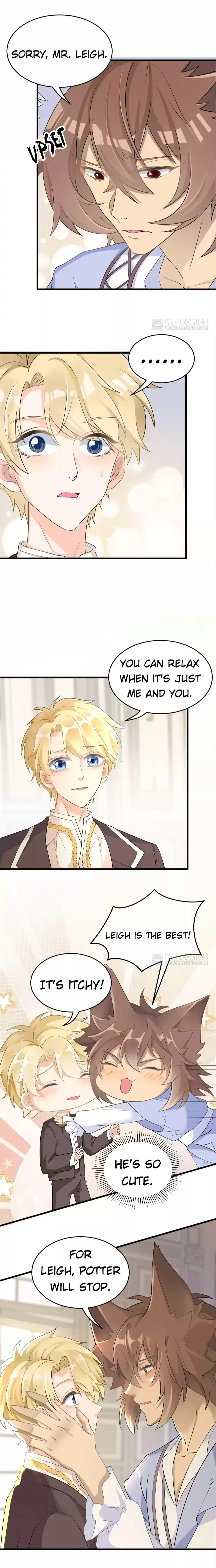 Page 12 of Chapter 29