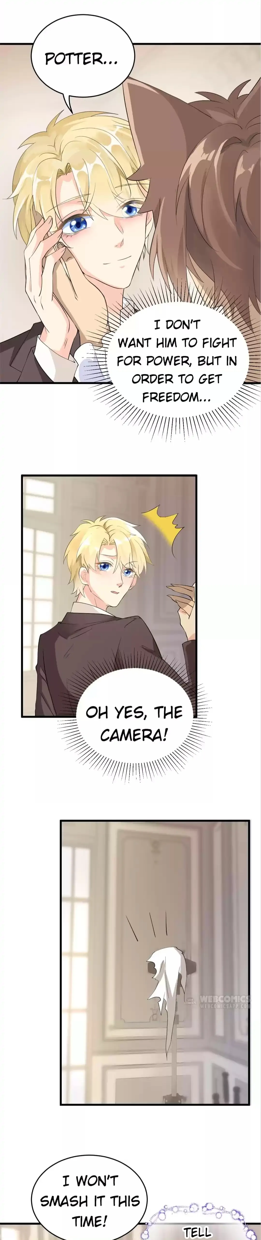 Page 13 of Chapter 29