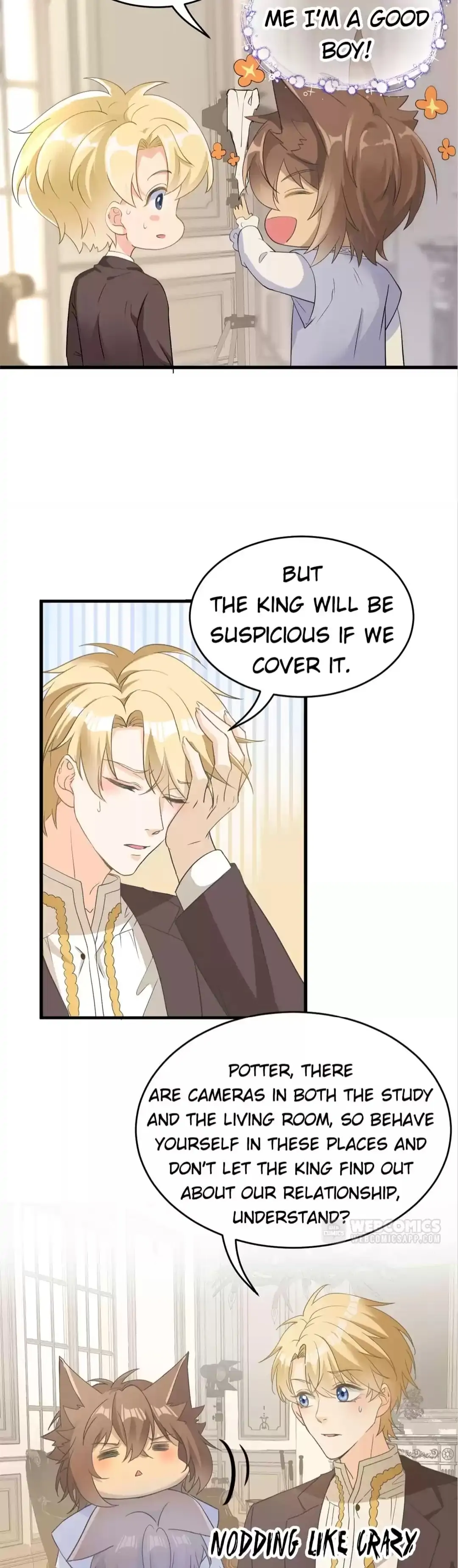 Page 14 of Chapter 29