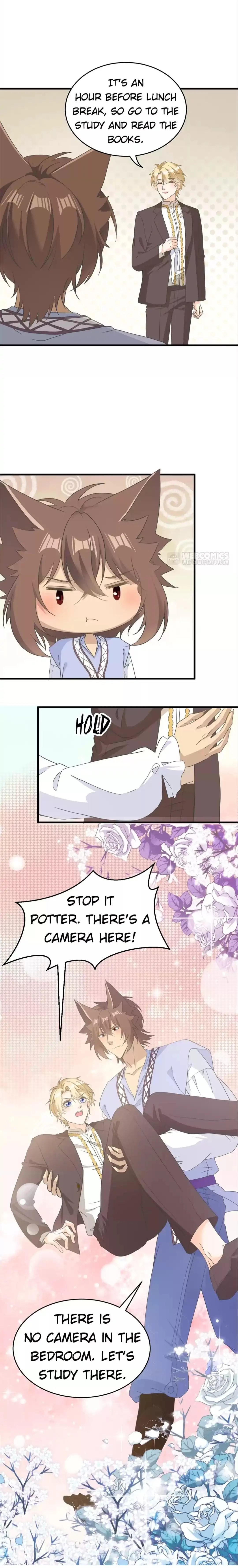 Page 16 of Chapter 29