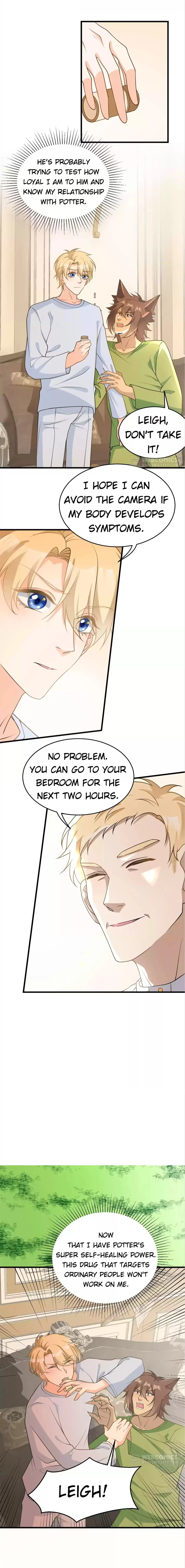 Page 17 of Chapter 33