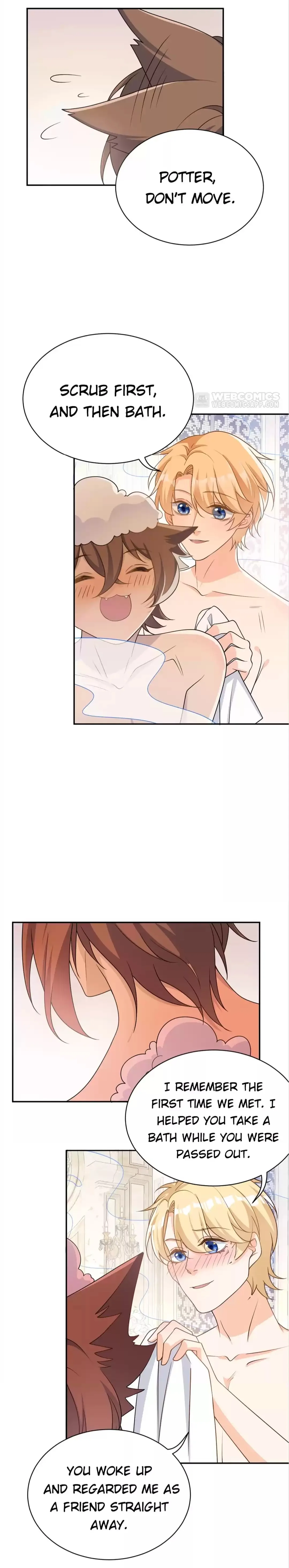 Page 3 of Chapter 41