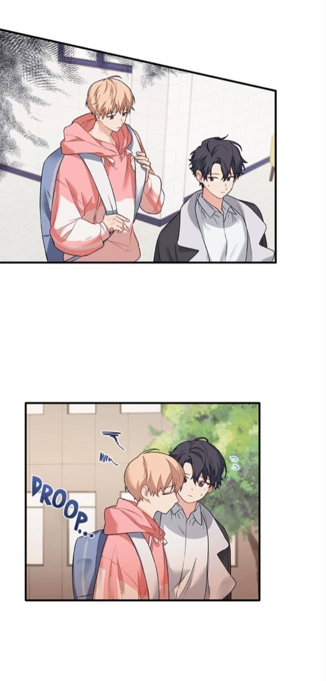 Page 8 of Chapter 23