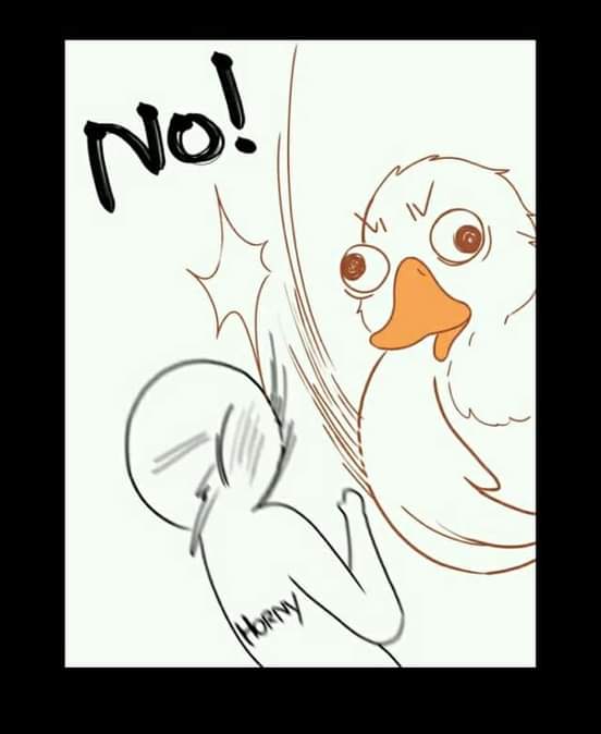 Page 29 of Chapter 155