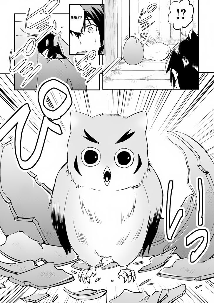 Page 29 of Chapter 16