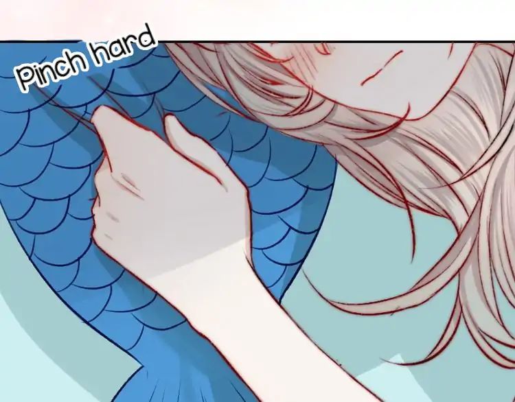 Page 17 of Chapter 14