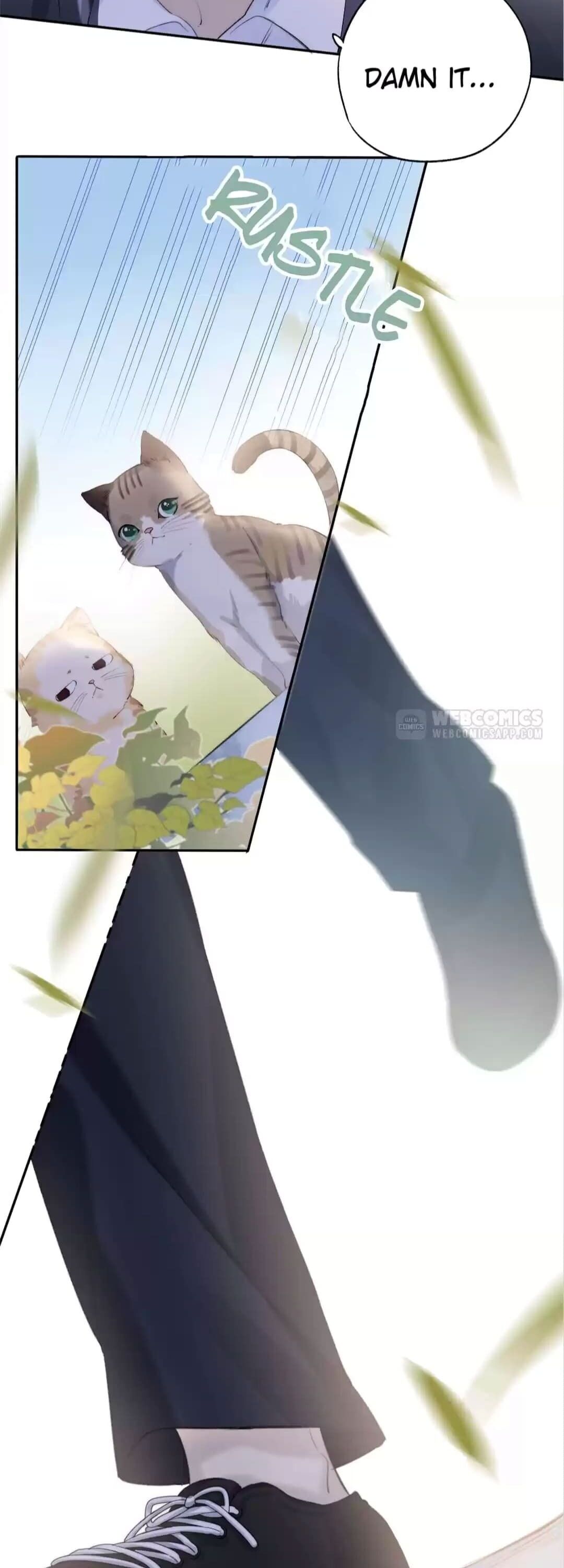 Page 25 of Chapter 80