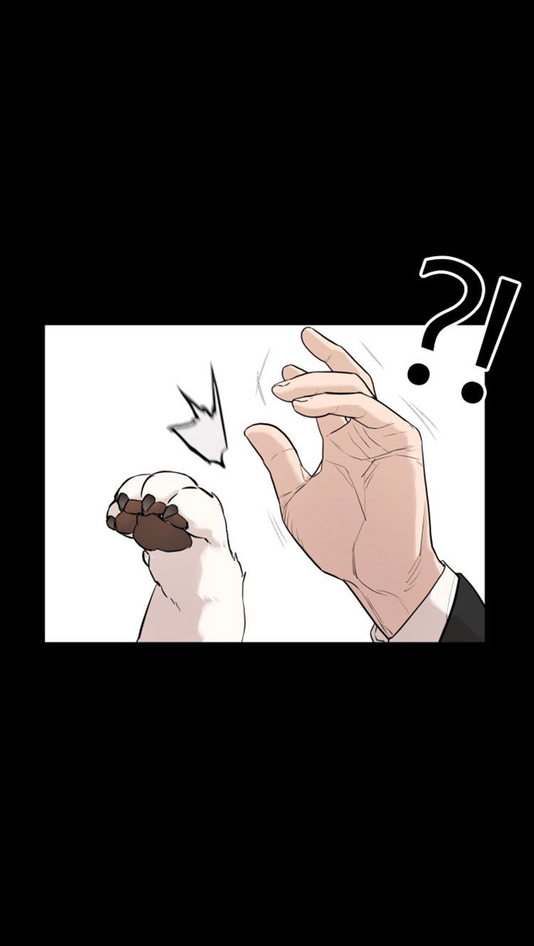Page 18 of Chapter 13