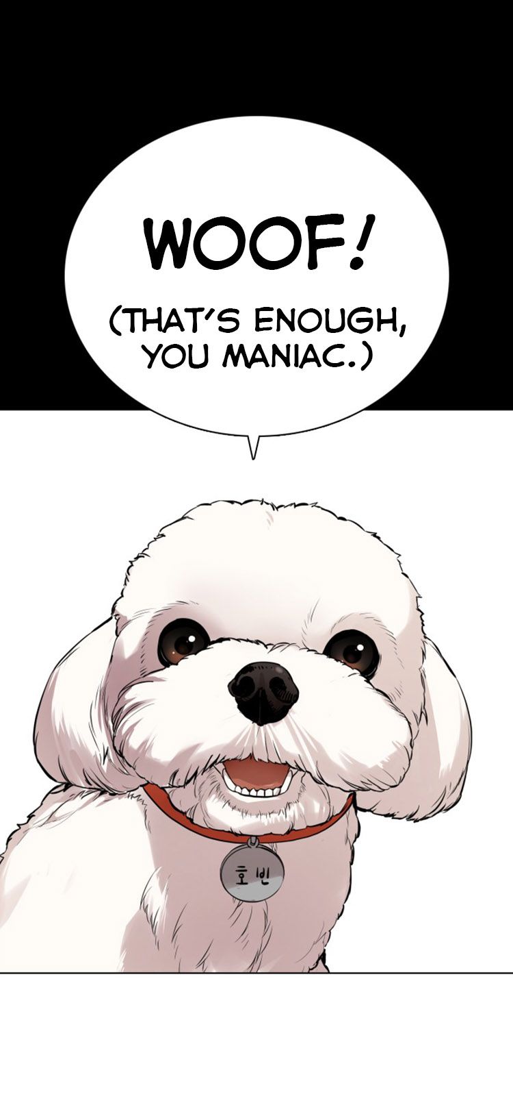 Page 19 of Chapter 13