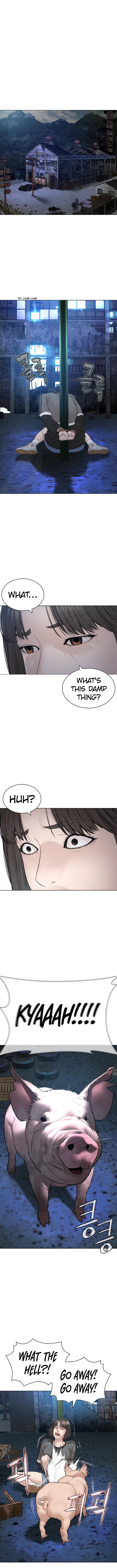 Page 13 of Chapter 161