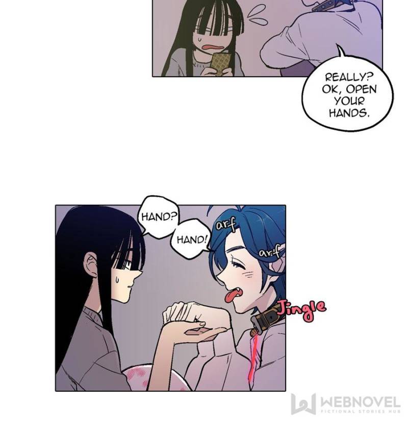 Page 41 of Chapter 10