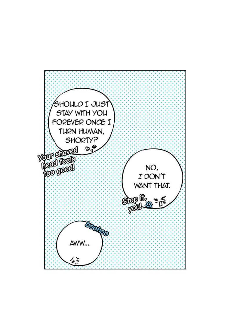 Page 16 of Chapter 53