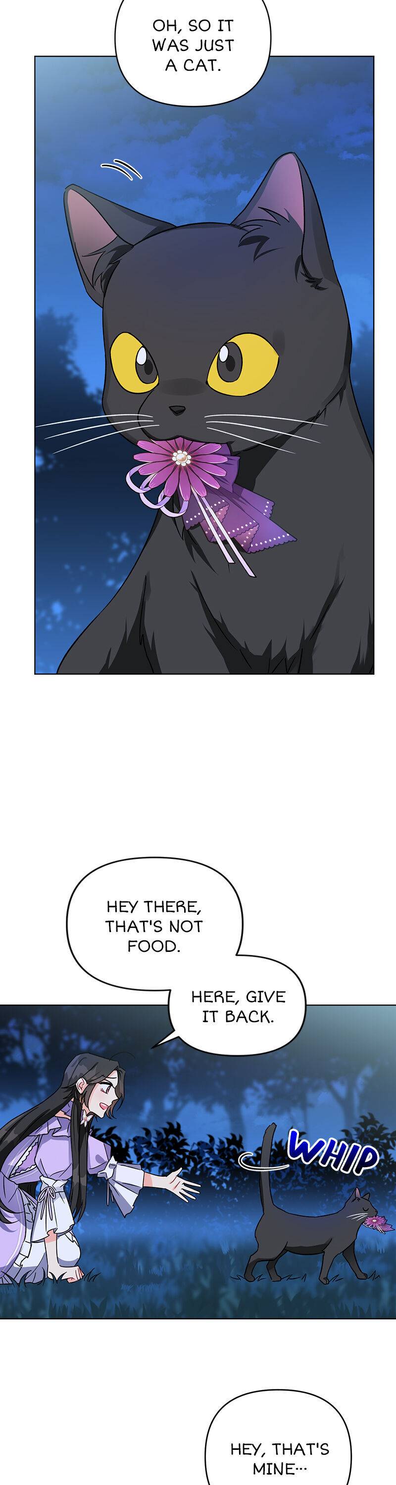 Page 4 of Chapter 4