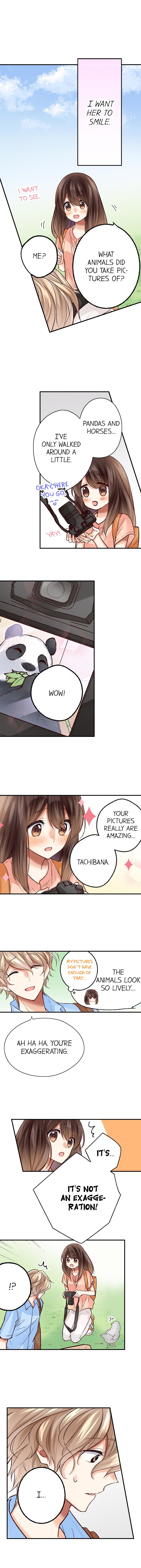Page 8 of Chapter 23