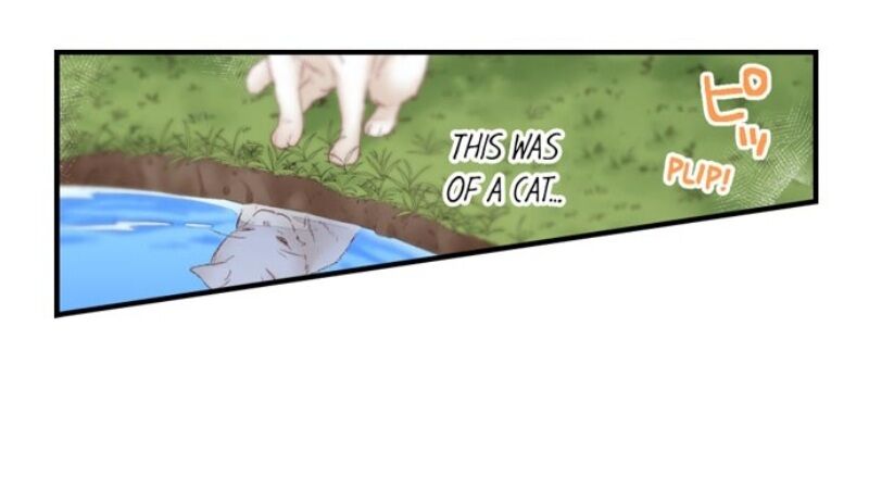Page 19 of Chapter 62