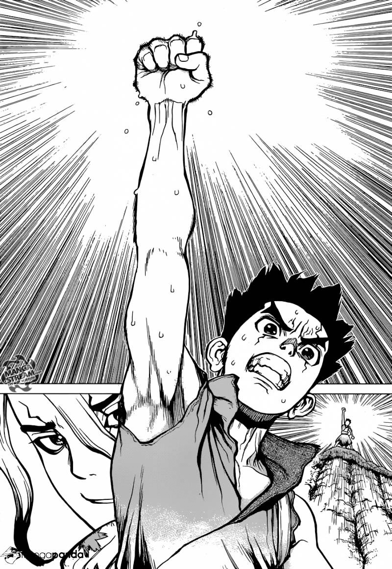 Page 17 of Chapter 15