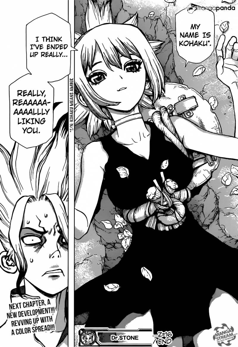 Page 17 of Chapter 16