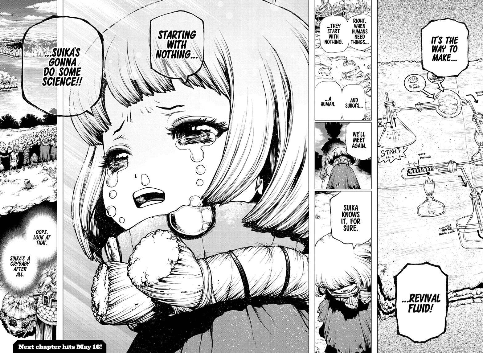 Page 17 of Chapter 195