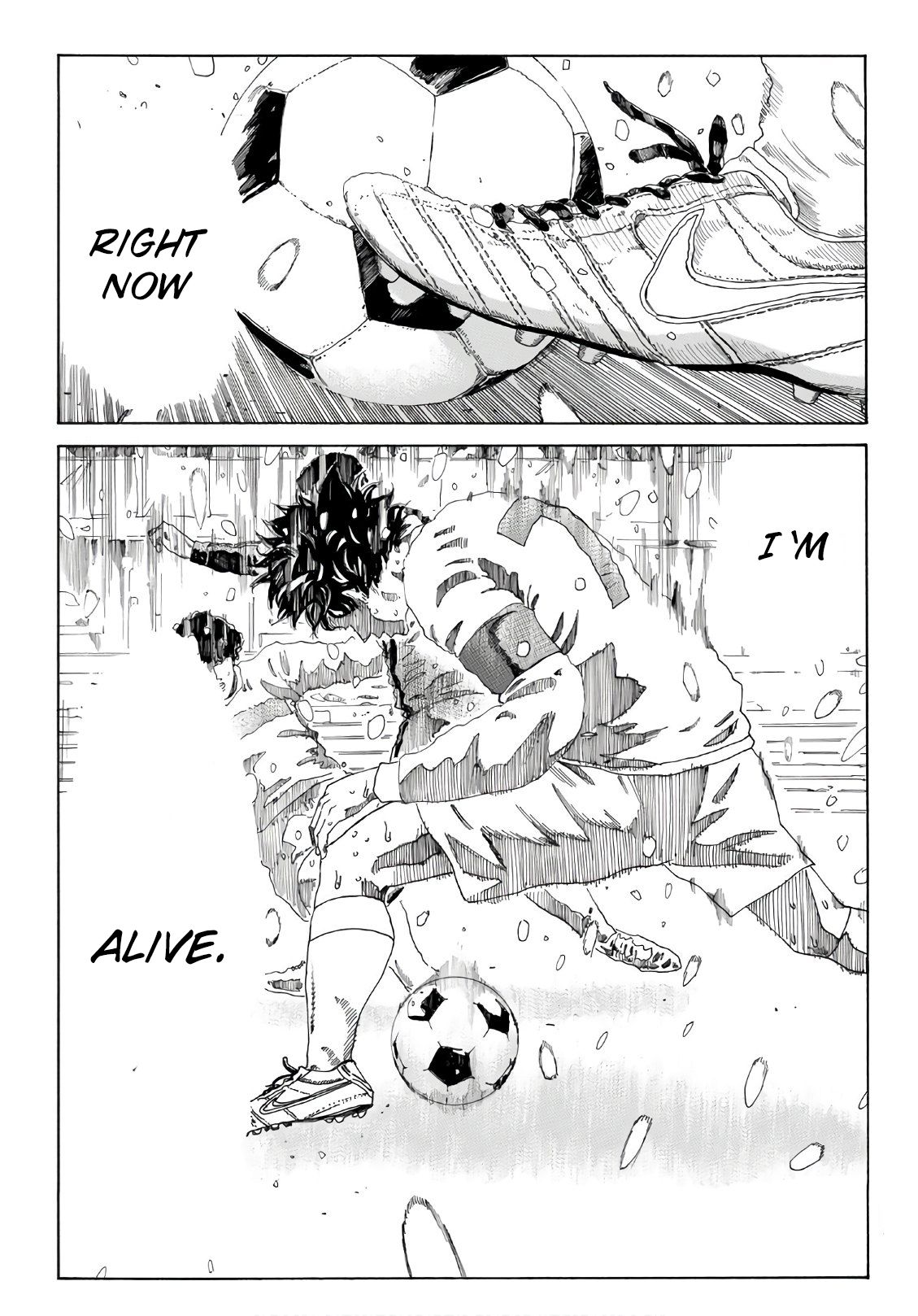 Page 14 of Chapter 274