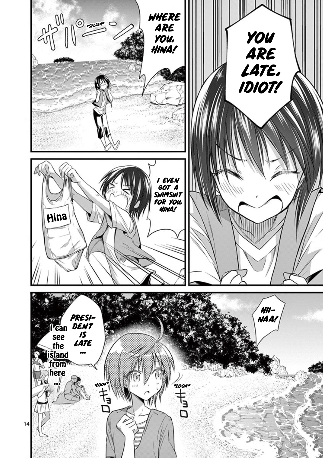 Page 14 of Chapter 19