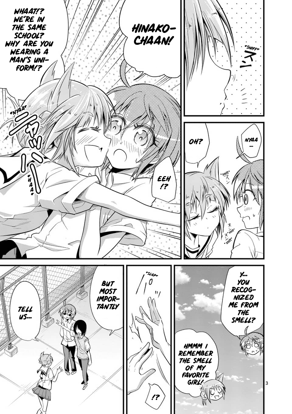 Page 3 of Chapter 29