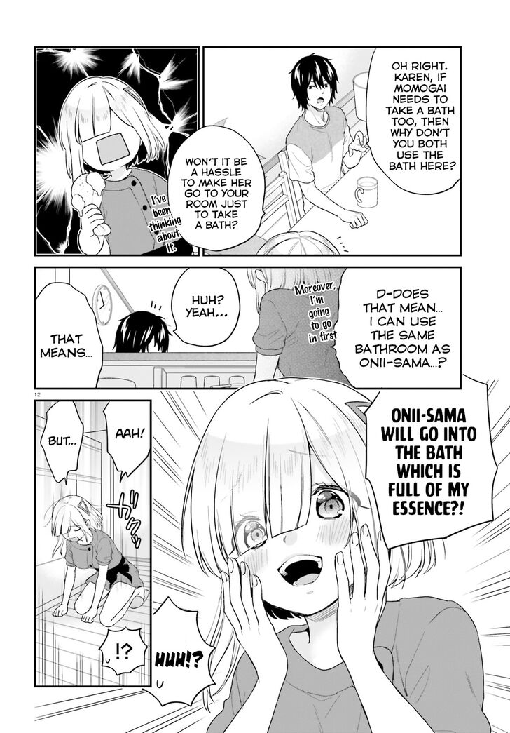 Page 13 of Chapter 17