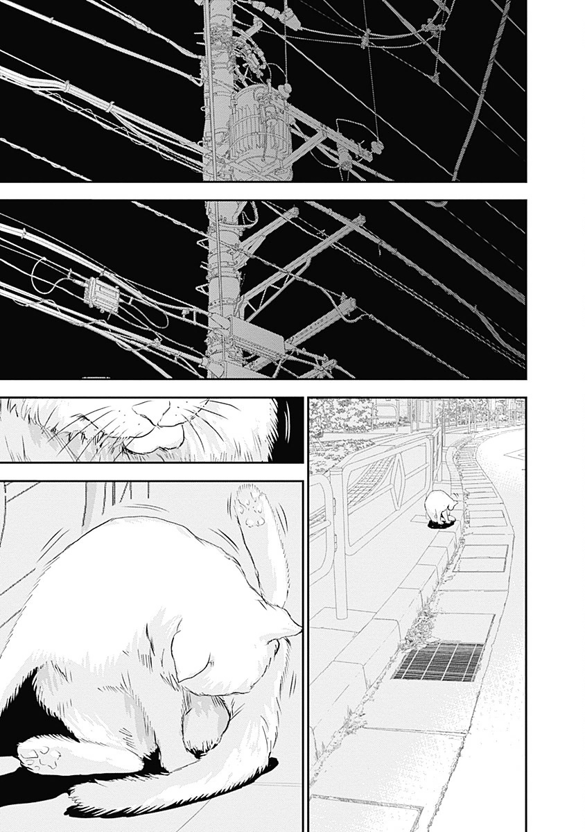 Page 10 of Chapter 203