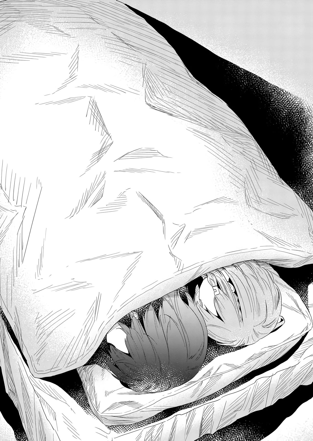 Page 13 of Chapter 65