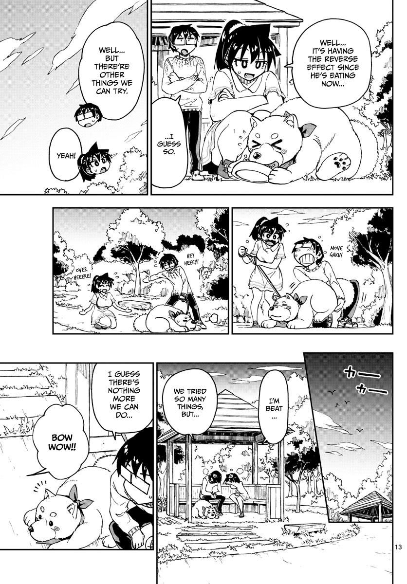 Page 13 of Chapter 118