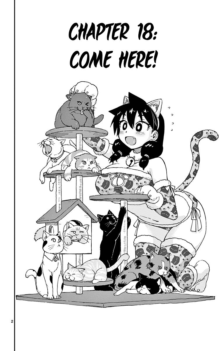 Page 2 of Chapter 18