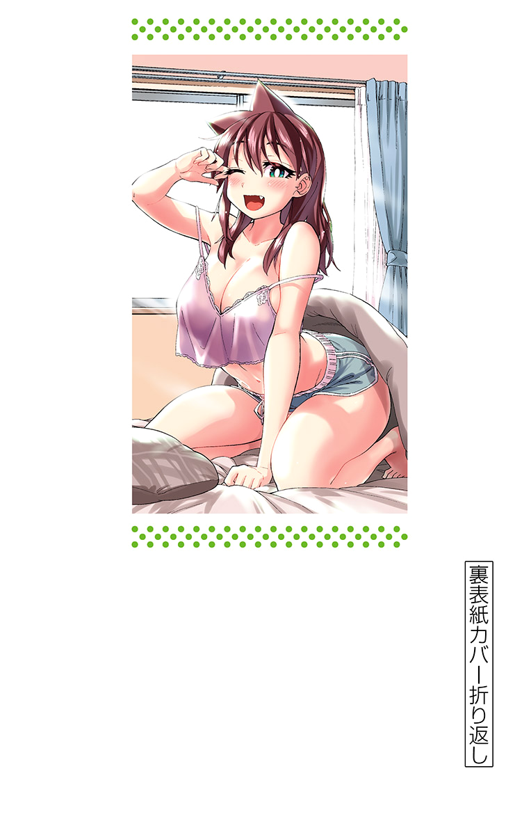 Page 4 of Chapter 219.5