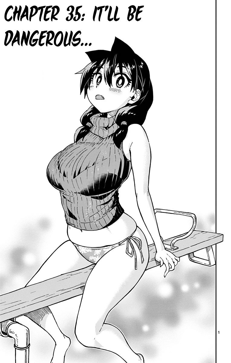 Page 1 of Chapter 35