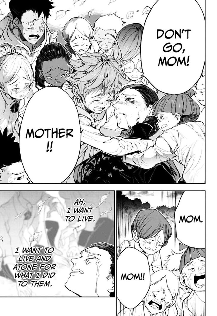 Page 13 of Chapter 177