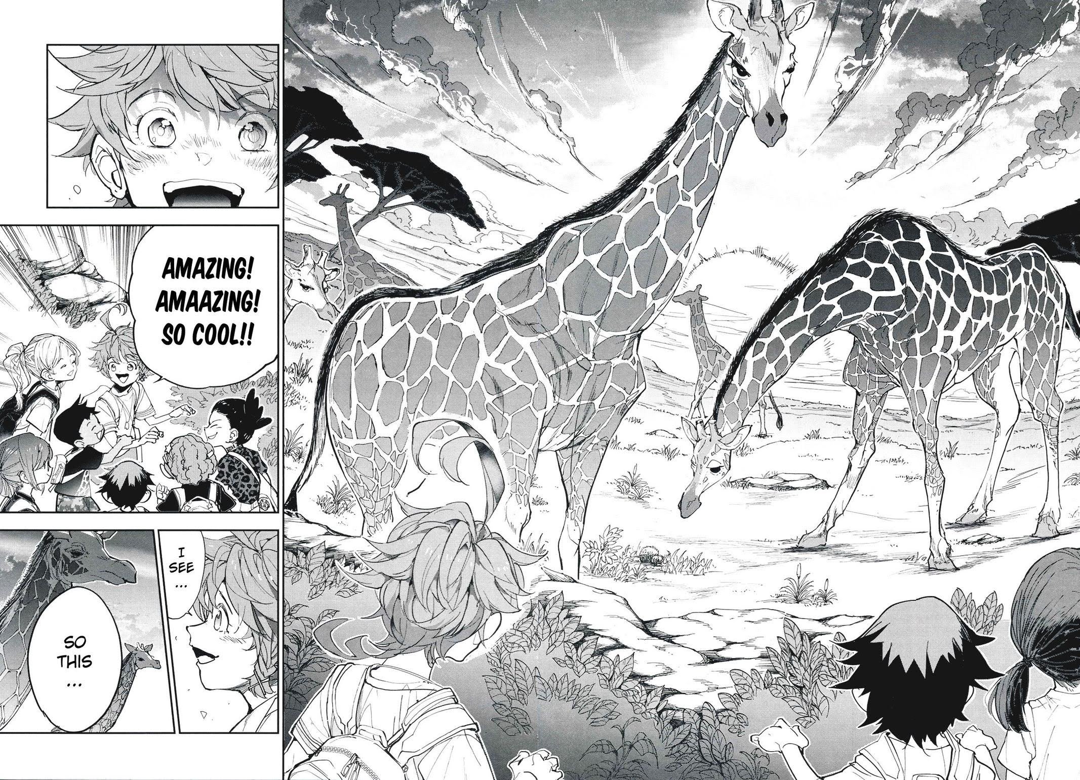 Page 13 of Chapter 181.9