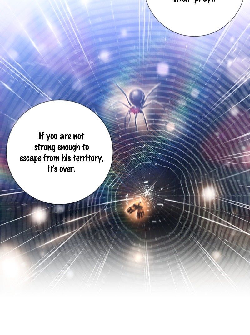 Page 25 of Chapter 12