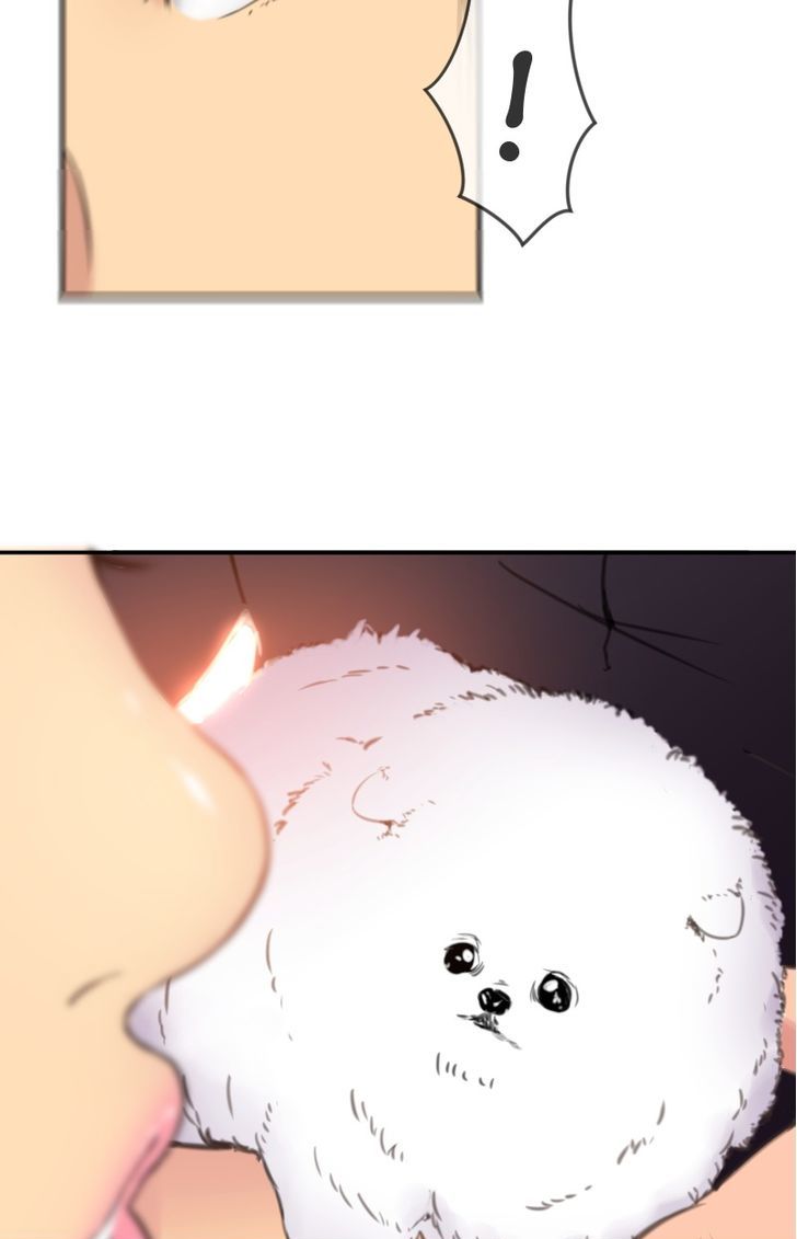 Page 20 of Chapter 29