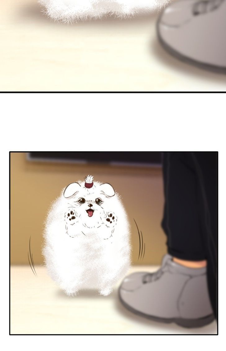 Page 58 of Chapter 49