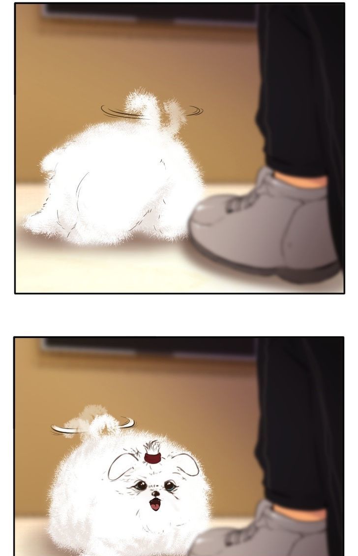 Page 61 of Chapter 49