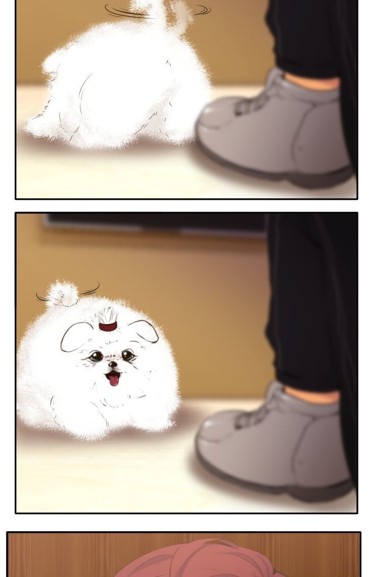 Page 63 of Chapter 49