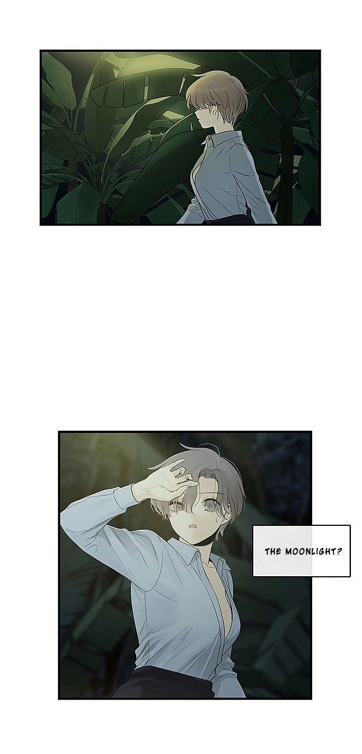 Page 50 of Chapter 2